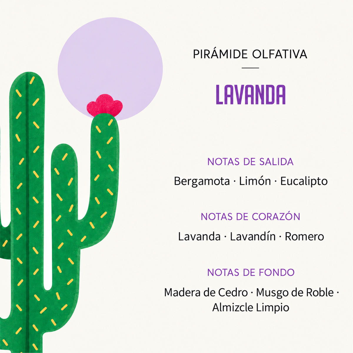 Ambientador Difusor Cactus Lavanda Deco Diffuser SYS Aromas 90 ml | Aroma Floral y Agreste | Relajante_3