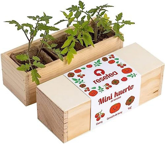 Mini Huerto De Tomates (cherry, Corazón De Buey Y Raf) | Huerto Urbano Fácil | Regalo Original_0