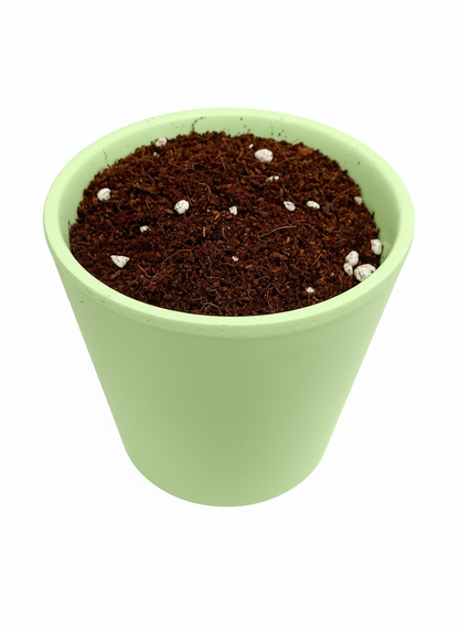 Gardencentershop Sustrato Universal 20lt