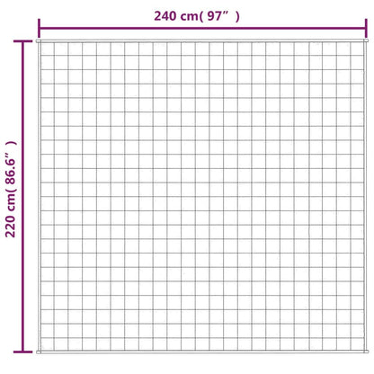 Vidaxl Manta Con Peso Tela Color Crema Claro 220x240 Cm 11 Kg_2
