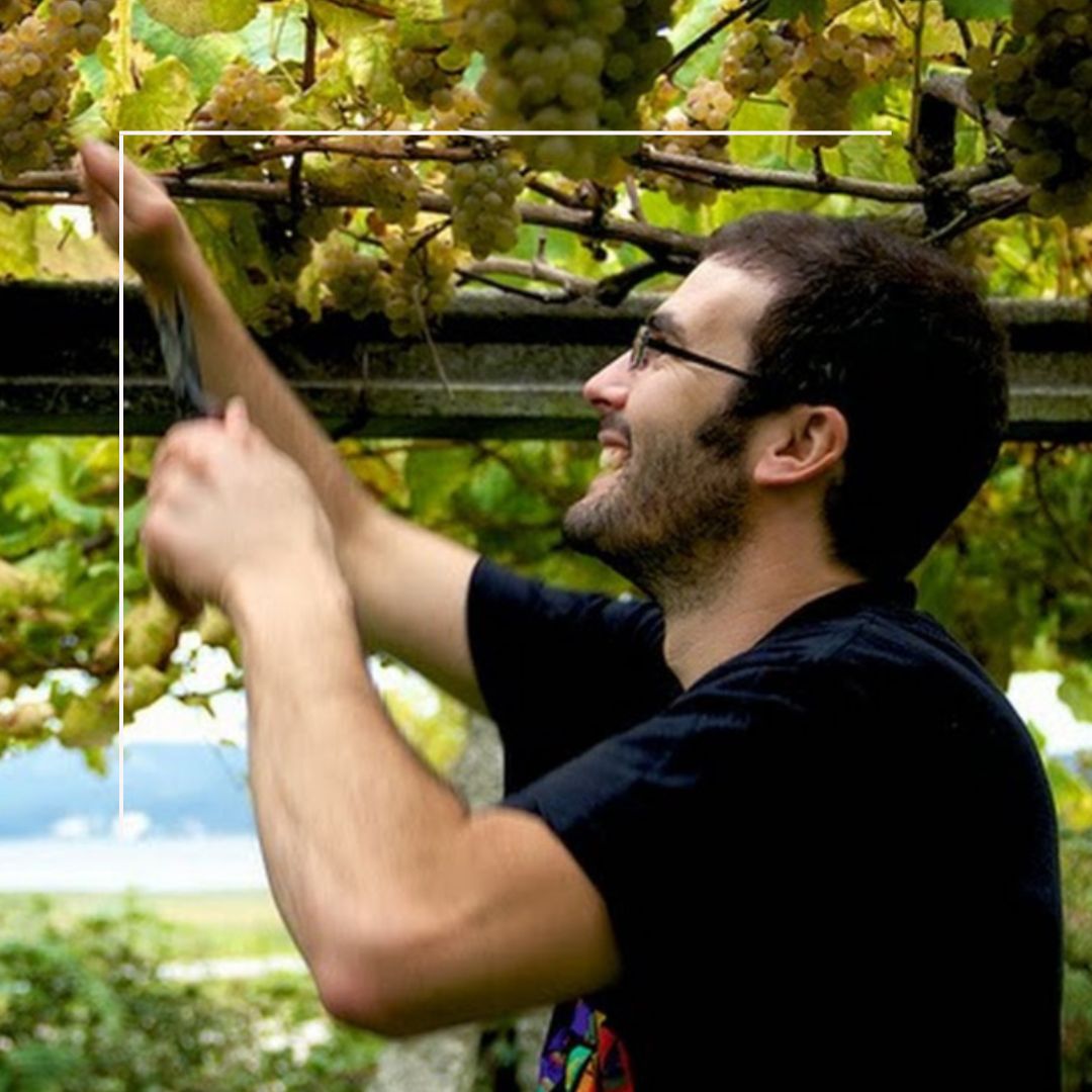 Vino Tinto - Albamar O Esteiro 2021 - Rías Baixas_1