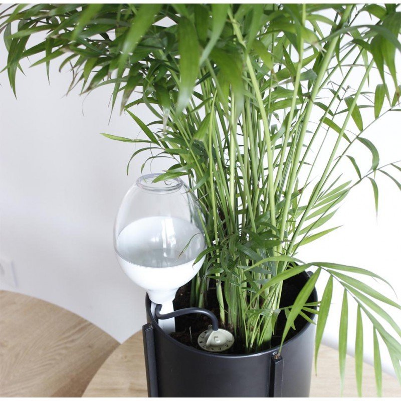 Riego Por Goteo Para Plantas Iriso Con Depósito – Blanco_2