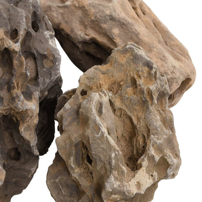 Vidaxl Piedras De Dragón Gris 10 Kg 10-40 Cm_3