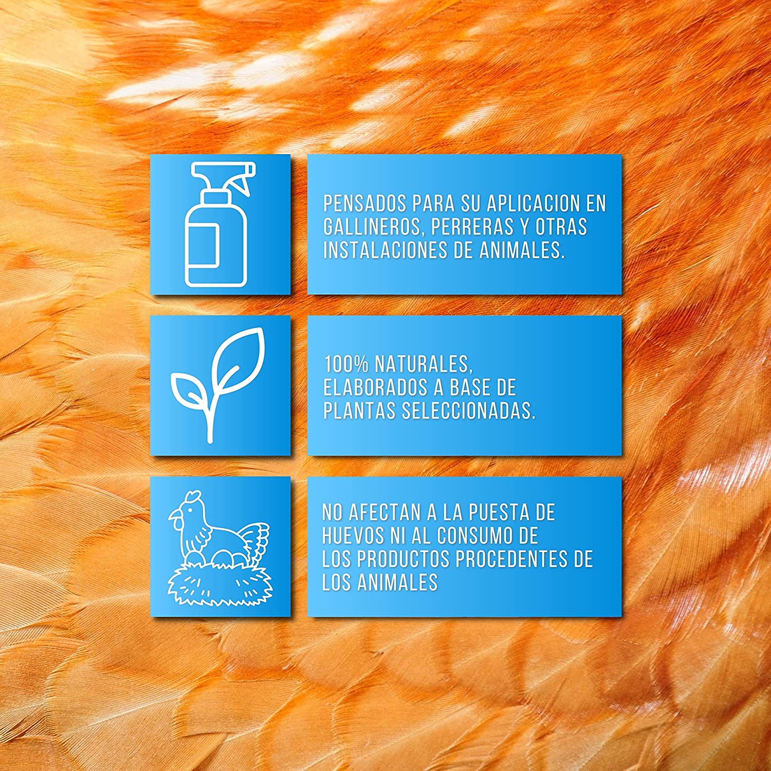 Pack De Productos Limpieza Y Desinfección Del Gallinero - Previene Piojos Y Ácaros - Productos Naturales - 500 Ml_1