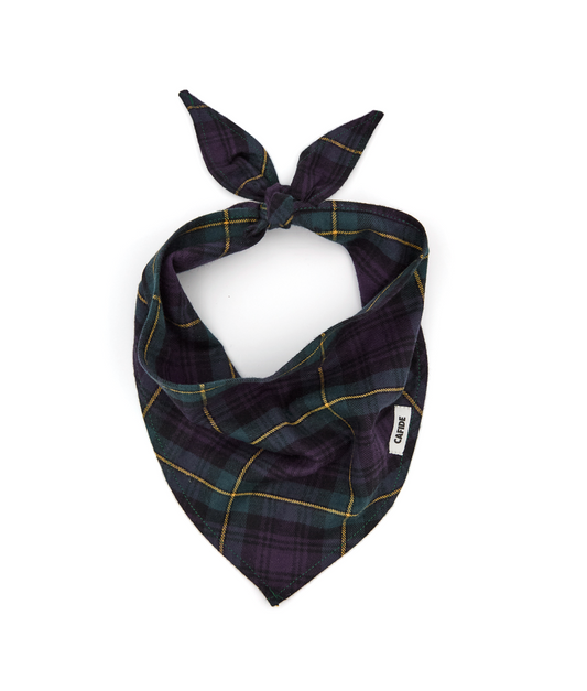 Cafide Bandana Para Perro Tartán Black Watch. Modelo Nata. Talla S (20-30 Cm)_0