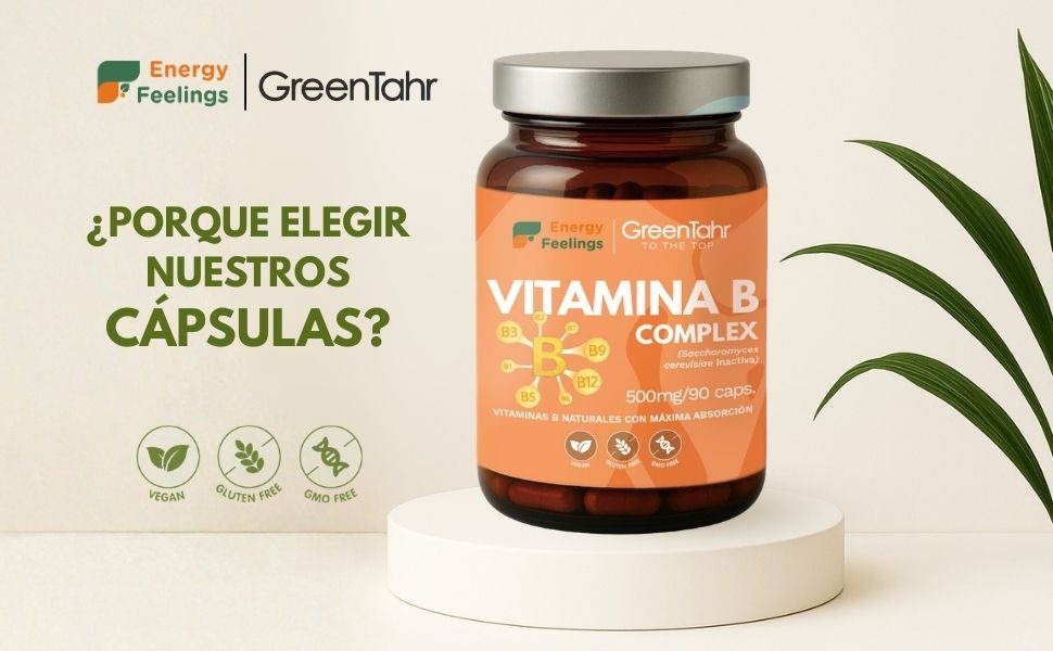 VITAB Biodisponible Energy Feelings cápsulas (90ud/500mg)