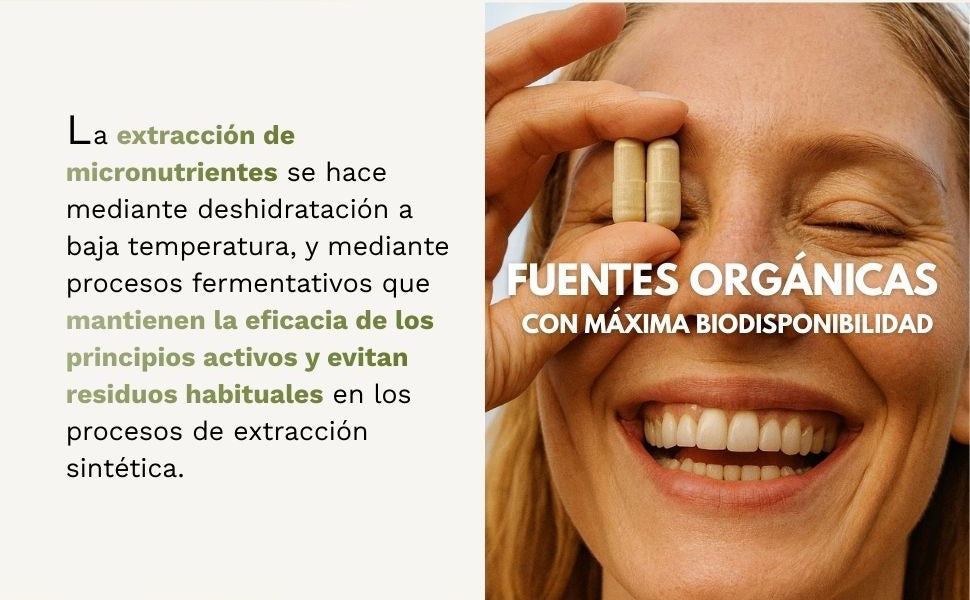 VITAB Biodisponible Energy Feelings cápsulas (90ud/500mg)