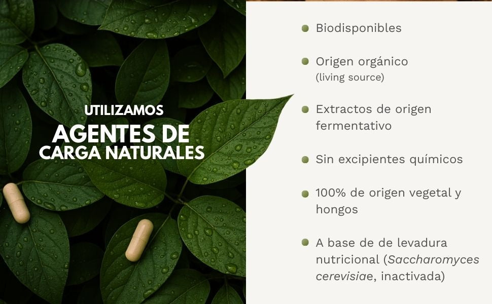 VITAB Biodisponible Energy Feelings cápsulas (90ud/500mg)