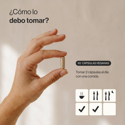 Akkermansia Complex, Muciniphila MucT 30 mil millones Zenement 60 cápsulas veganas