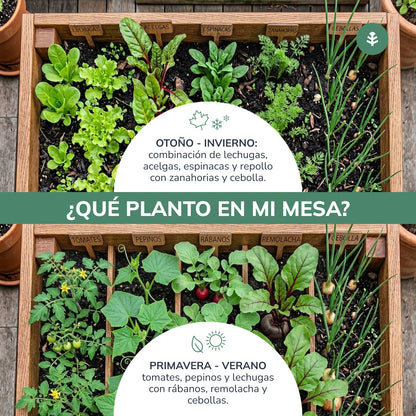 Mesa de Cultivo Huerto XXL80 Planeta Huerto (200X80X80) 270L