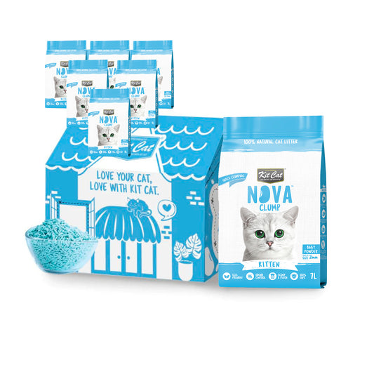 Pack 6 Kit Cat Arena Eco Nova - Kitten Baby Powder 7 L Arena para gatos