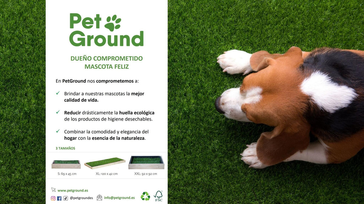 Petground, Cama Para Conejos, Caja De Madera, Accesorio, Mueble Xl: 120 X 42 Cm_4