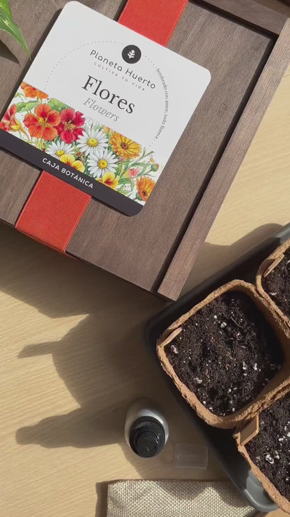 Kit de Cultivo de Bonsáis en Caja de Madera – Regalo Original Planeta Huerto