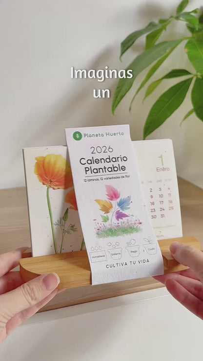 Calendario plantable de Navidad 2026 Transforma el tiempo en naturaleza Planeta Huerto