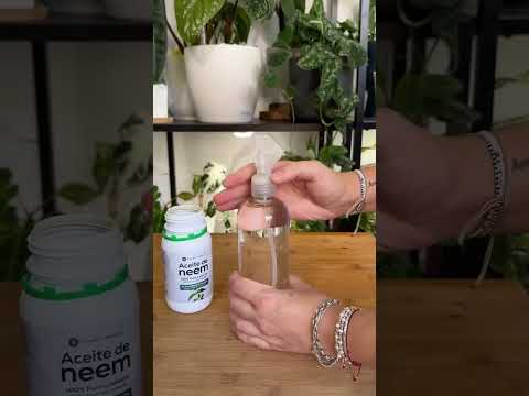 Pack Jabón Potásico Negro 1L + Aceite de Neem 1L Planeta Huerto