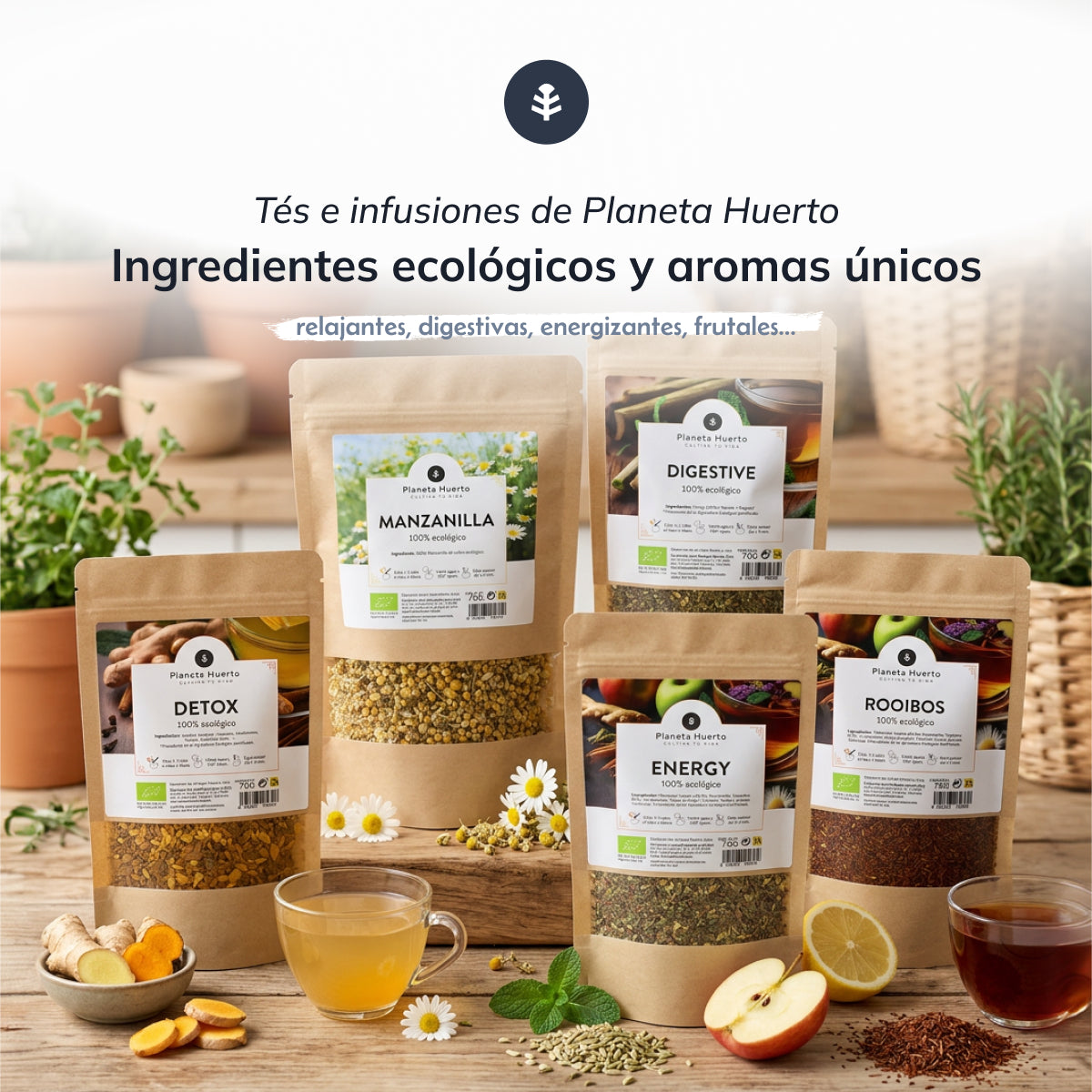 Infusión Energía ECO Planeta Huerto 20 pirámides