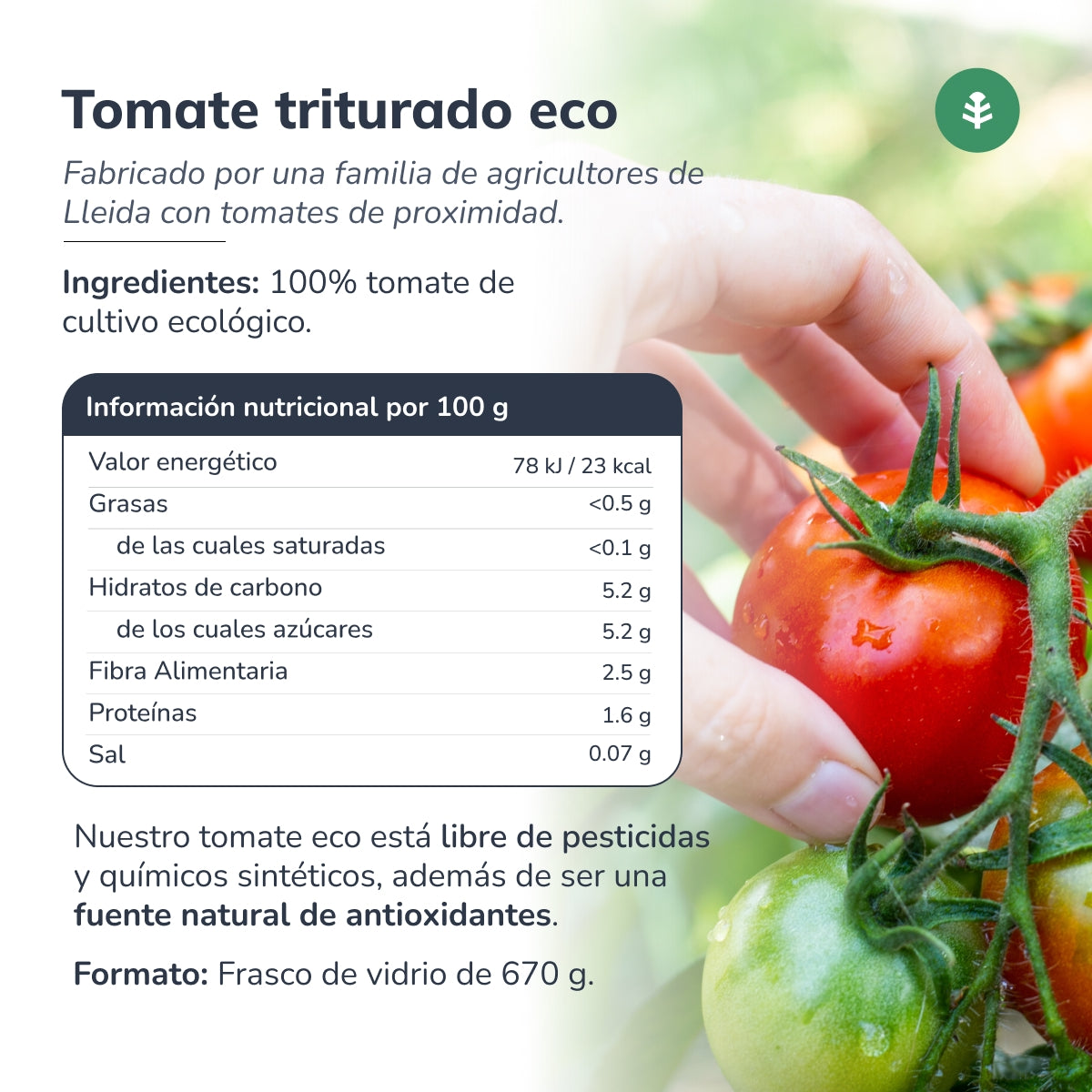 Tomate triturado ECO Planeta Huerto 670 g